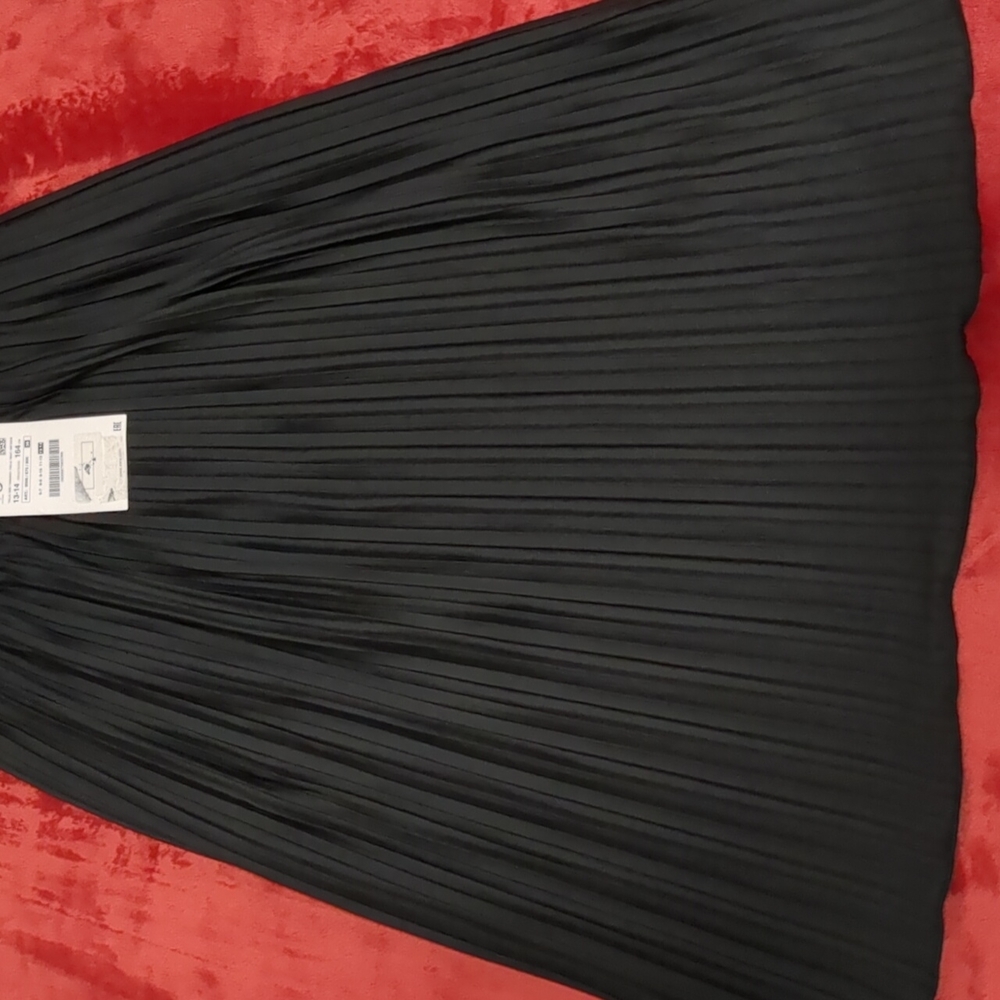 Zara Girl skirt